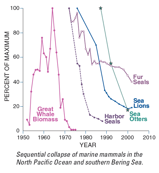whale hunting graphs. This graph illustrates a